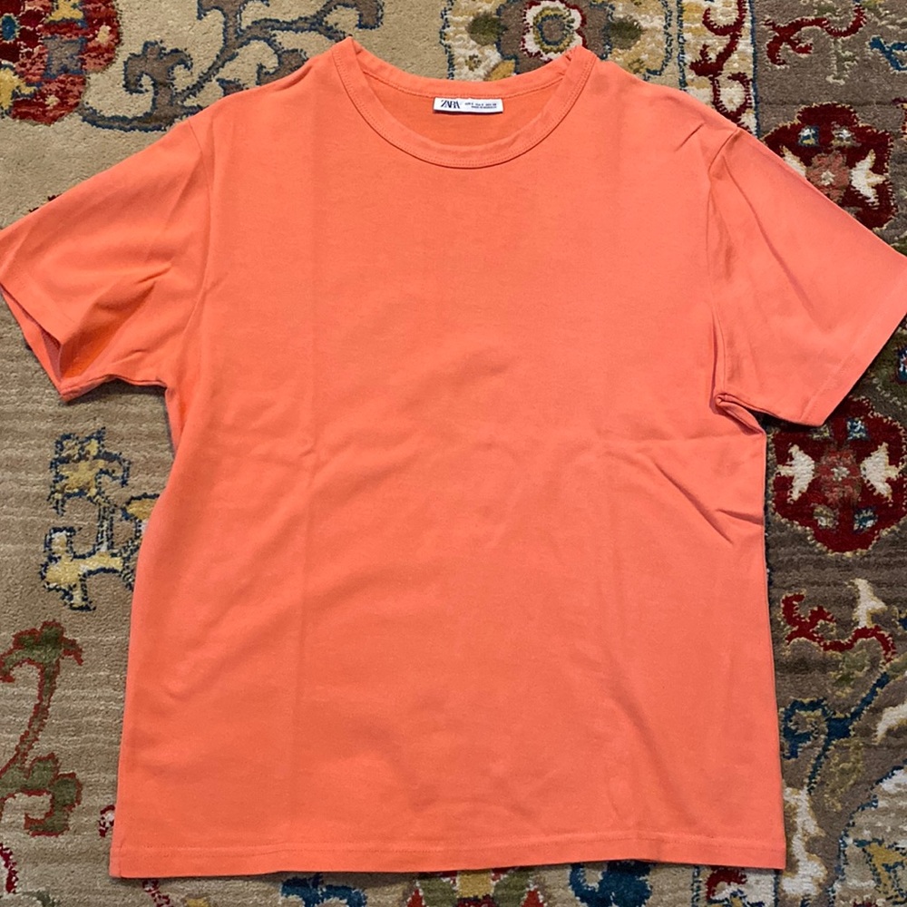 Men’s Zara t shirt